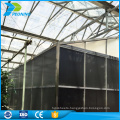 polycarbonate sheet price, china supplier of greenhouse PC sheet with good quality